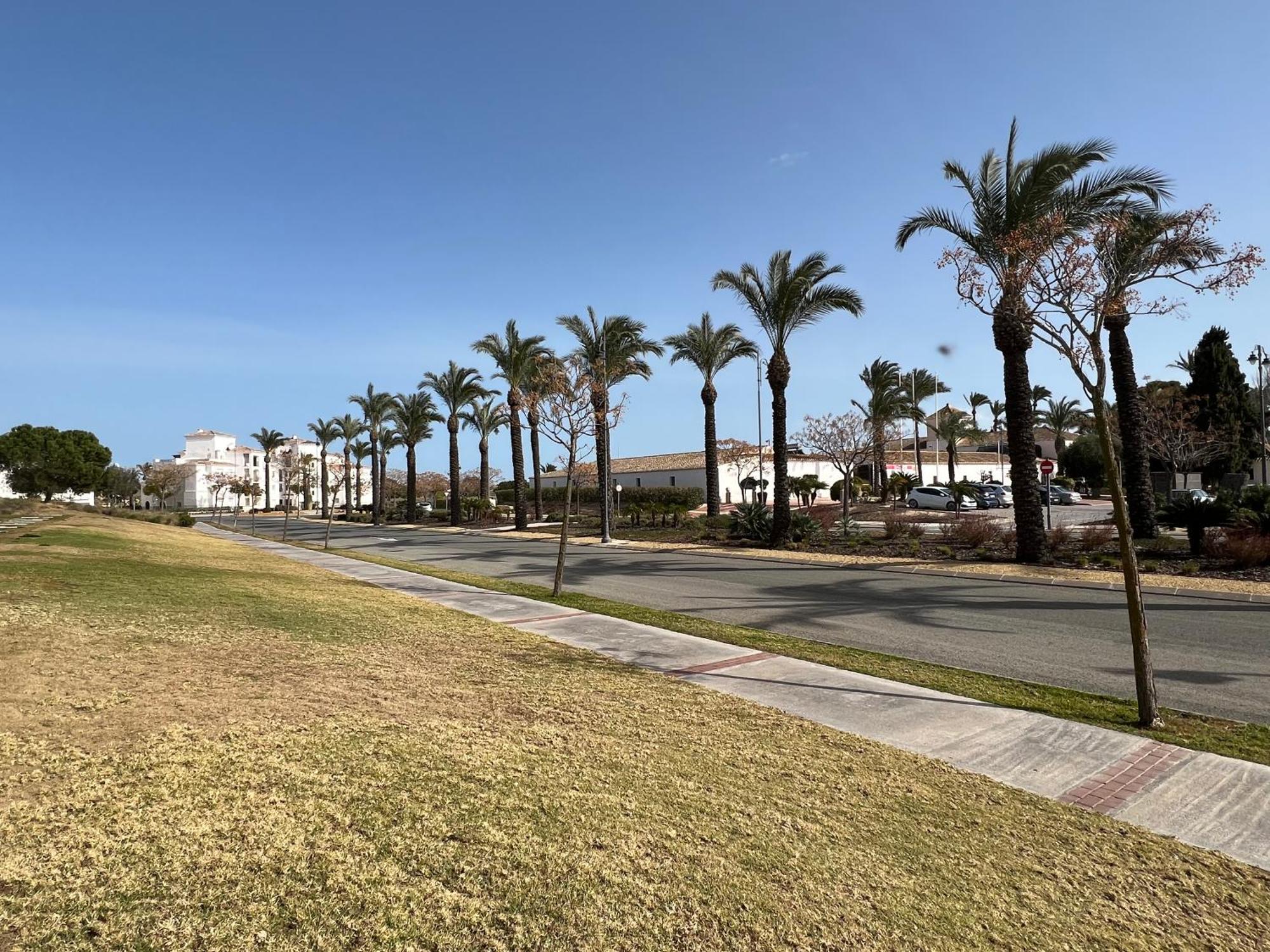 Apartment In Hacienda Riquelme Golf Resort Sucina Eksteriør bilde